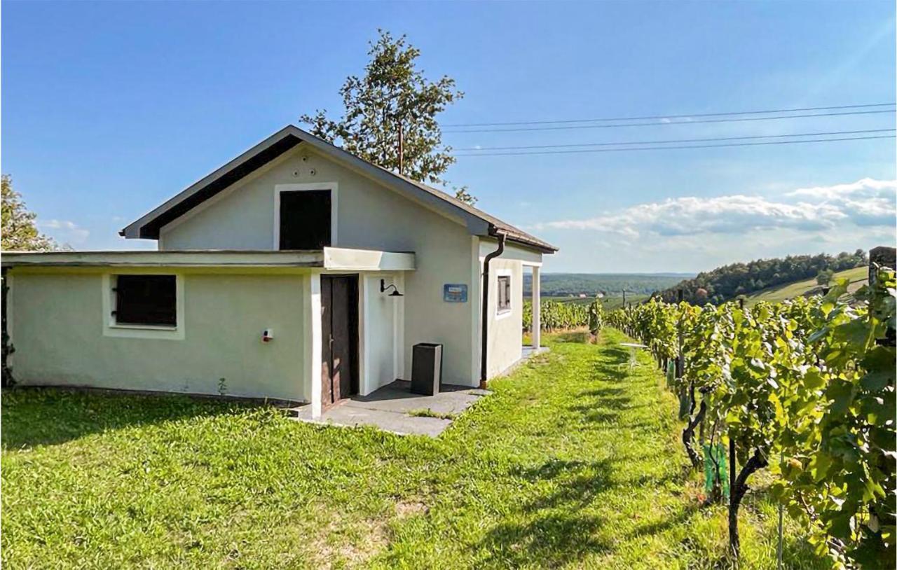 Schoenes Ferienhaus Eisenberg Eisenberg an der Pinka Exterior photo